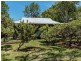 3 Ranger Ct, Sunrise Beach QLD 4567