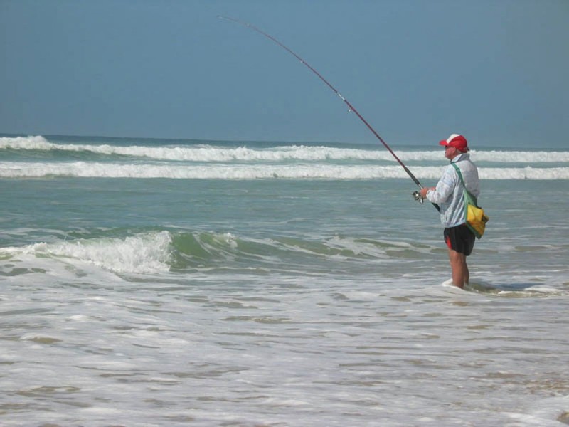 33 Seamist Court, Sunshine Beach QLD 4567