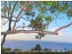 25 Bayview Road, Noosa Heads QLD 4567