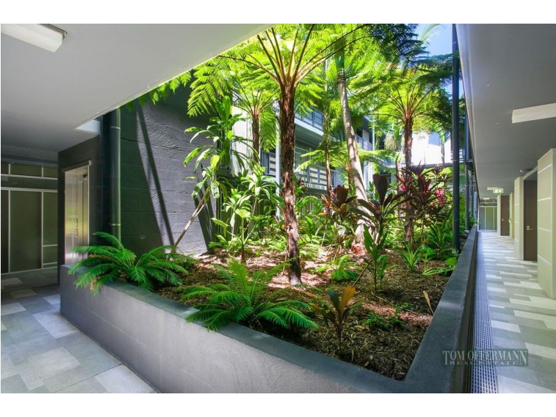 7203/5 Morwong Drive, Noosa Heads QLD 4567