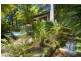 6/1 Picture Point Cres, Noosa Heads QLD 4567