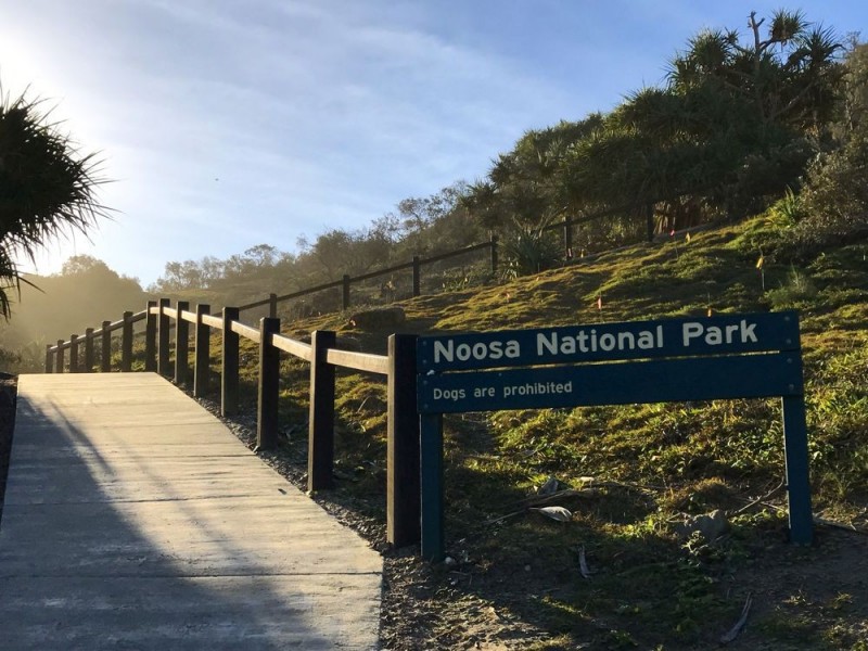 19 Whale Drive, Sunshine Beach QLD 4567