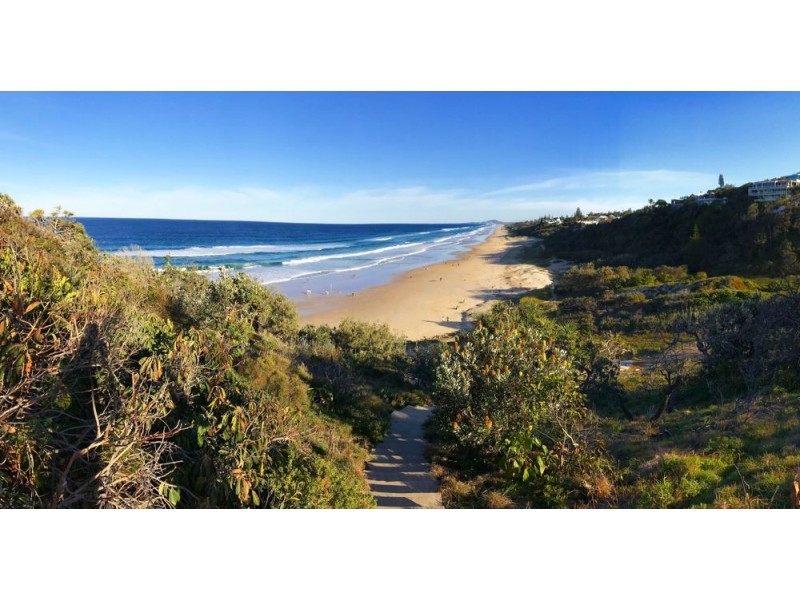 19 Whale Drive, Sunshine Beach QLD 4567