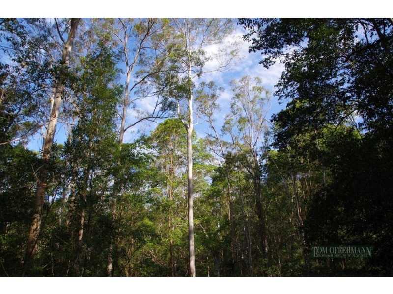 16 Little Springs Lane, Lake Macdonald QLD 4563