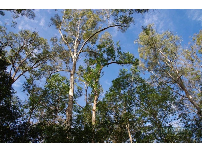 16 Little Springs Lane, Lake Macdonald QLD 4563