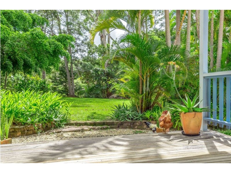 31 Marnie Crescent, Doonan QLD 4562