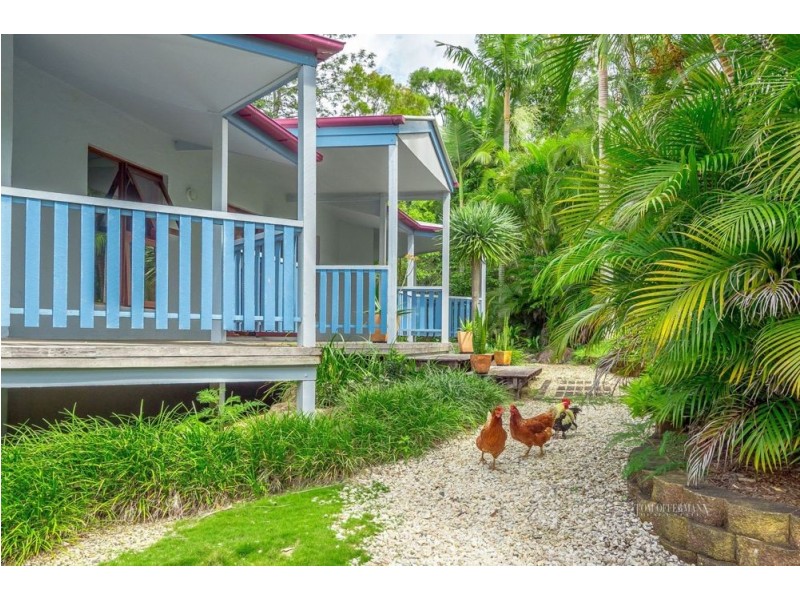 31 Marnie Crescent, Doonan QLD 4562