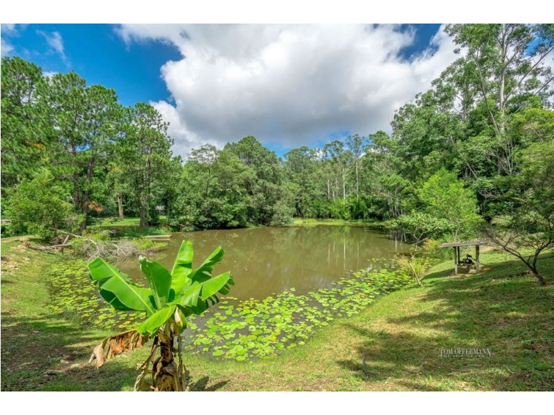 31 Marnie Crescent, Doonan QLD 4562