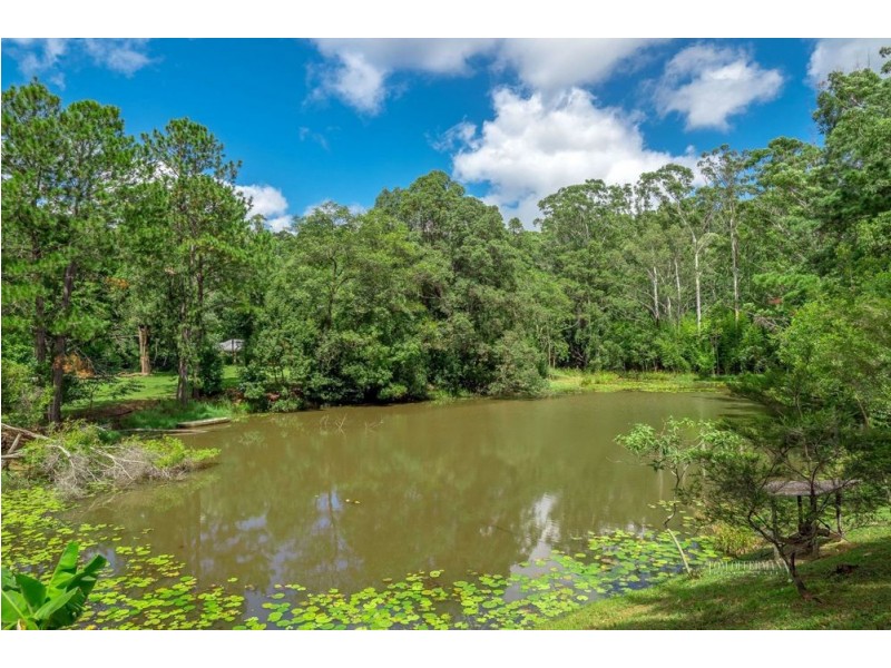 31 Marnie Crescent, Doonan QLD 4562