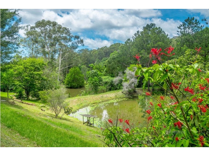 31 Marnie Crescent, Doonan QLD 4562