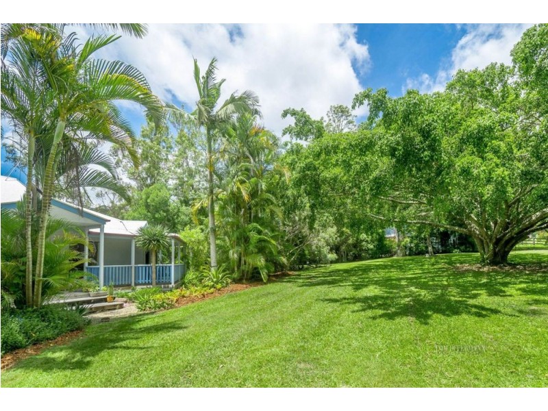 31 Marnie Crescent, Doonan QLD 4562