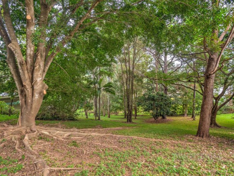 9 Barlee St, Eumundi QLD 4562