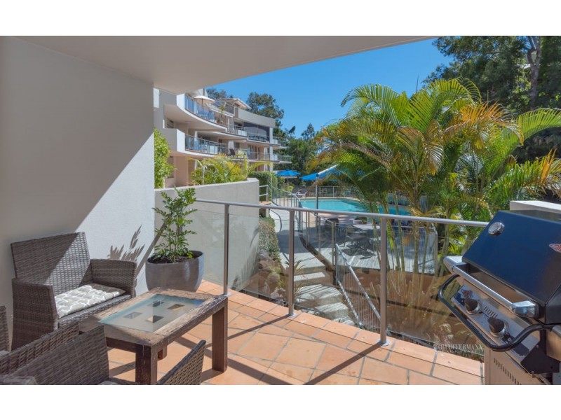 5/24 Little Cove Road, Noosa Heads QLD 4567