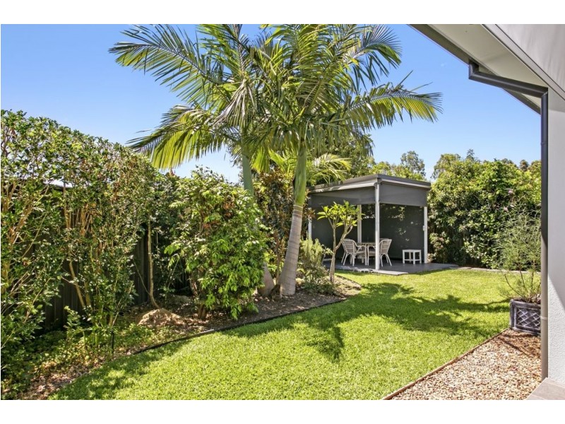 6 Smoke Bush Drive, Noosa Heads QLD 4567