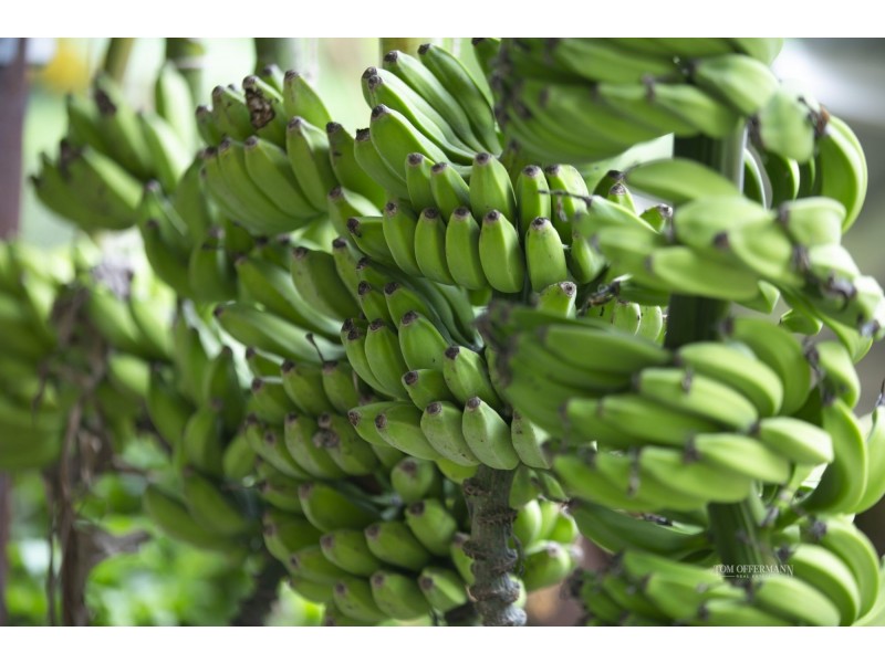 11 Greenacre Road, Verrierdale QLD 4562