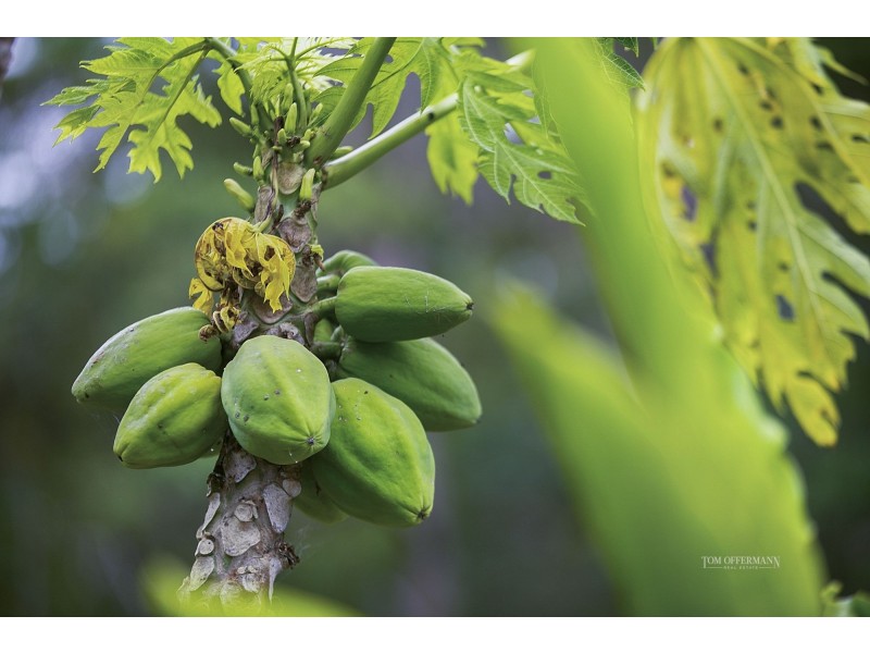 11 Greenacre Road, Verrierdale QLD 4562