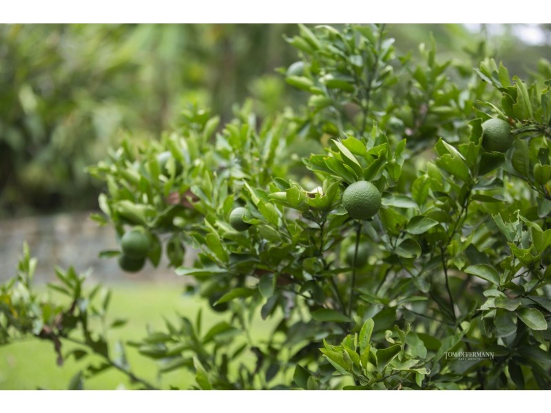 11 Greenacre Road, Verrierdale QLD 4562