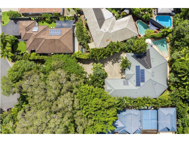 25 David Street, Noosa Heads QLD 4567