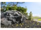 1-23 Bronze Wing Circuit, Peregian Springs QLD 4573