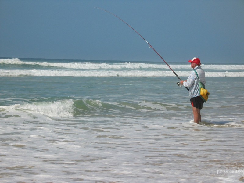 34 Plover Street, Peregian Beach QLD 4573