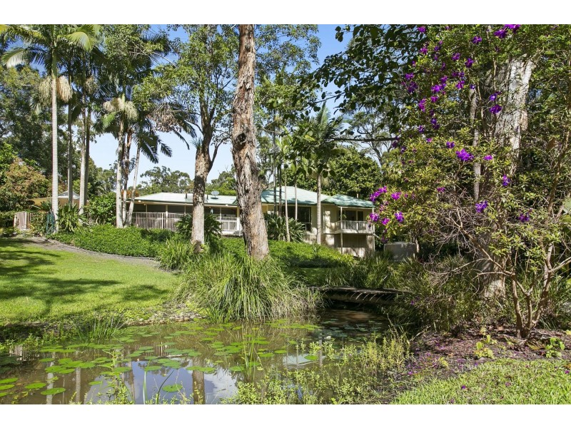 41 Beckmans Road, Tewantin QLD 4565