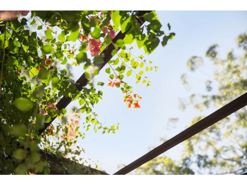 2 Martha Lane, Verrierdale QLD 4562