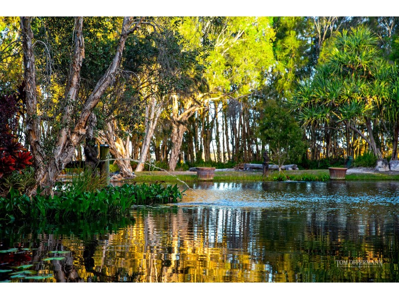 1A Lake Weyba Drive, Weyba Downs QLD 4562