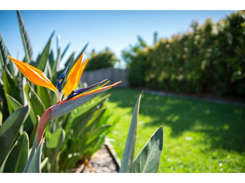 21 Burrell Avenue, Eumundi QLD 4562