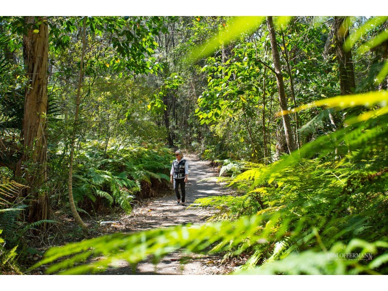 5 Morinda Circuit, Noosaville QLD 4566