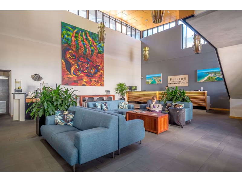 4304/5 Morwong Drive, Noosa Heads QLD 4567
