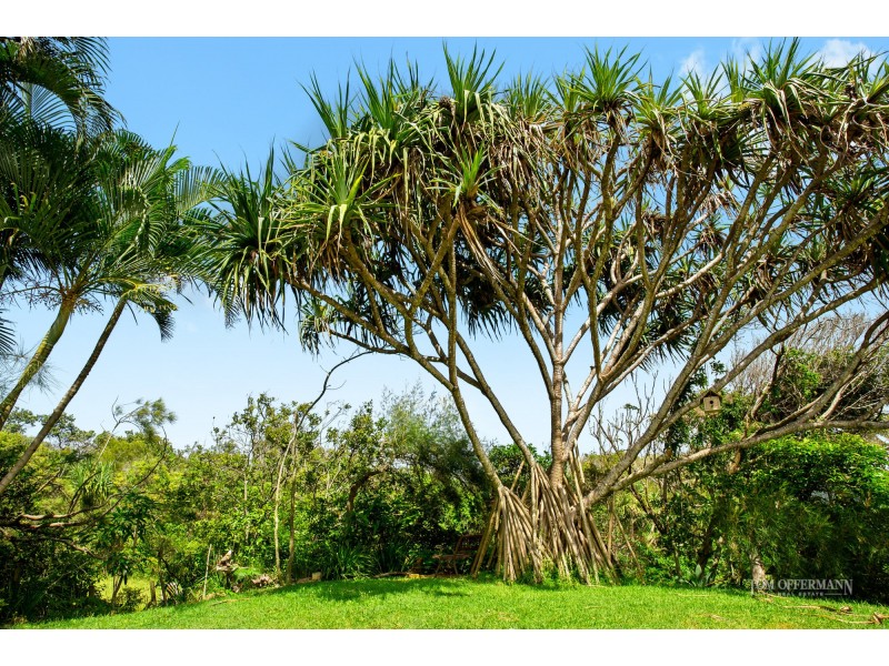 1/5 Pitta Street, Peregian Beach QLD 4573