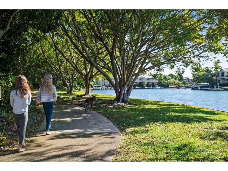 3 Sailfish Court, Noosaville QLD 4566