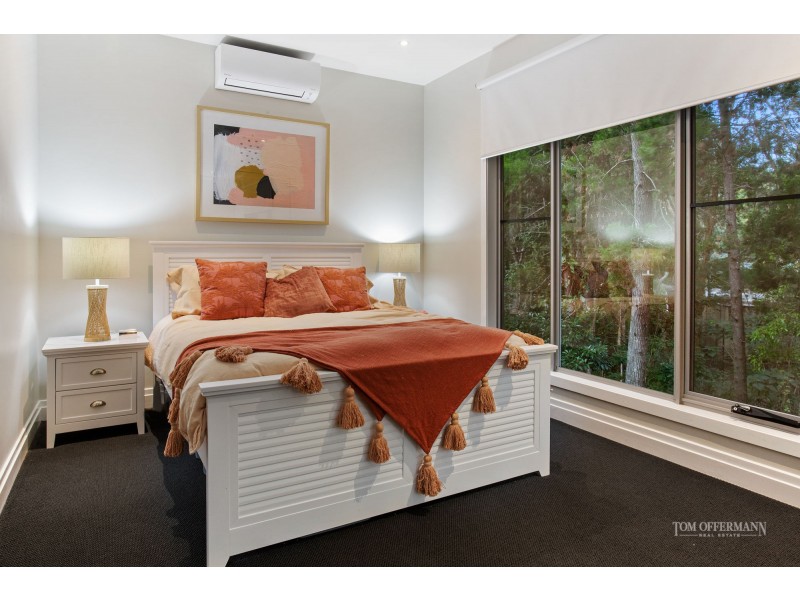 14 Coral Tree Avenue, Noosa Heads QLD 4567