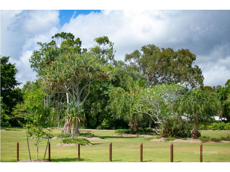11 Ely Street, Noosaville QLD 4566