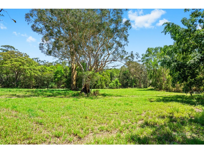 99 Hollett Road, Noosaville QLD 4566