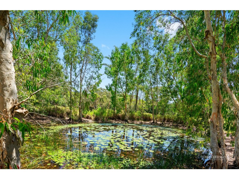 99 Hollett Road, Noosaville QLD 4566