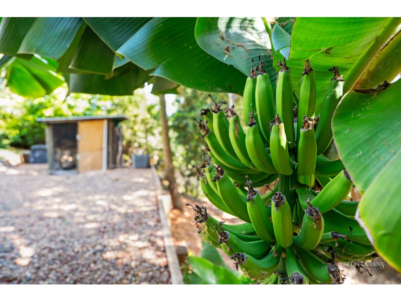 7a Crescent Road, Eumundi QLD 4562