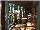 4 Nairana Rest, Noosa Heads QLD 4567