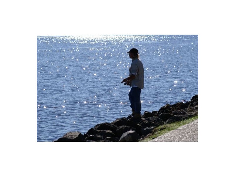 2/18 Howard St, Noosaville QLD 4566