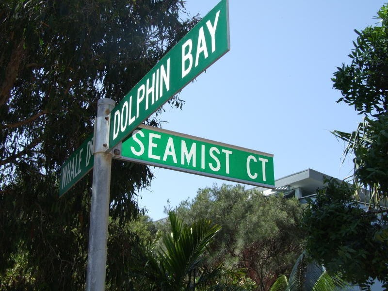 Seamist Court, Sunshine Beach QLD 4567