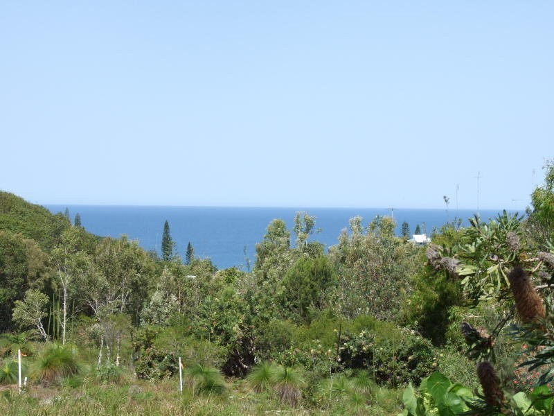 Seamist Court, Sunshine Beach QLD 4567
