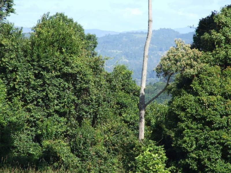 86 Panorama Drive, Doonan QLD 4562