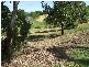 86 Panorama Drive, Doonan QLD 4562