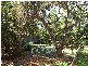 112 Persimmon Drive, Peregian Beach QLD 4573