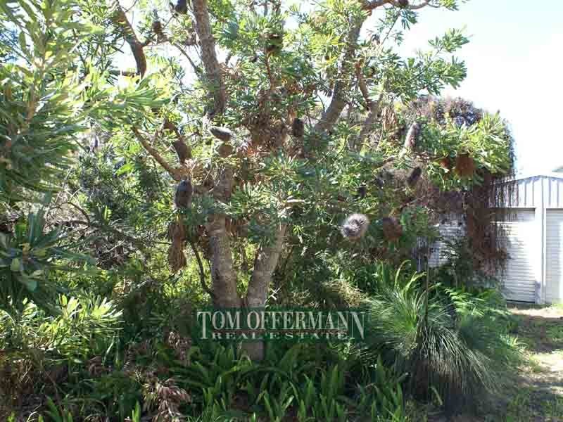 112 Persimmon Drive, Peregian Beach QLD 4573