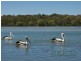 65 Lake Weyba Drive, Noosaville QLD 4566
