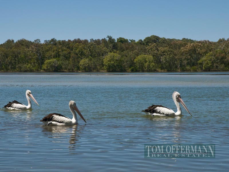 65 Lake Weyba Drive, Noosaville QLD 4566