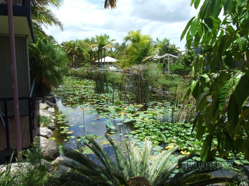 80/73 Hilton Tce, Noosaville QLD 4566