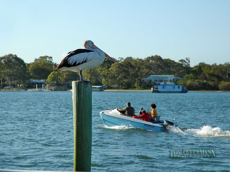 87 Ward St, Tewantin QLD 4565