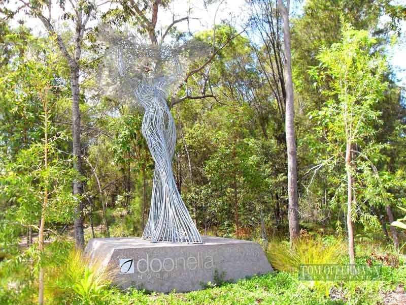 5 Moorhen Place, Noosaville QLD 4566